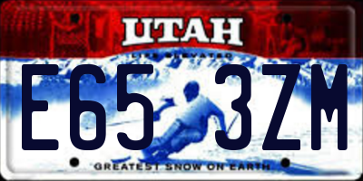 UT license plate E653ZM