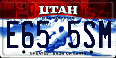UT license plate E655SM