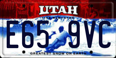 UT license plate E659VC