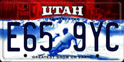 UT license plate E659YC