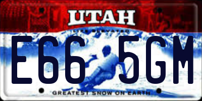 UT license plate E665GM