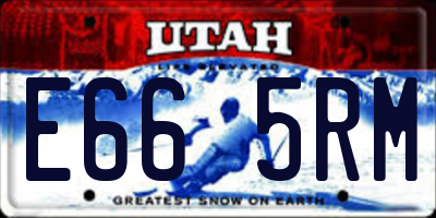 UT license plate E665RM