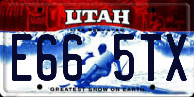 UT license plate E665TX