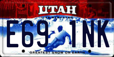 UT license plate E691NK