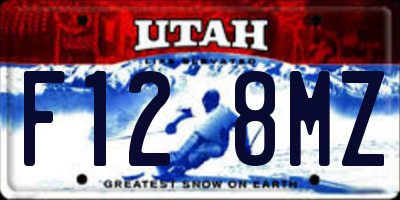 UT license plate F128MZ