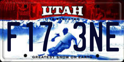 UT license plate F173NE