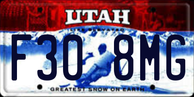 UT license plate F308MG