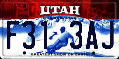 UT license plate F313AJ