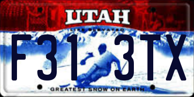 UT license plate F313TX