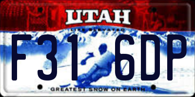 UT license plate F316DP