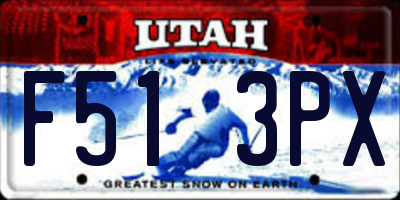 UT license plate F513PX