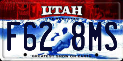 UT license plate F628MS