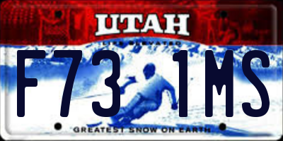 UT license plate F731MS