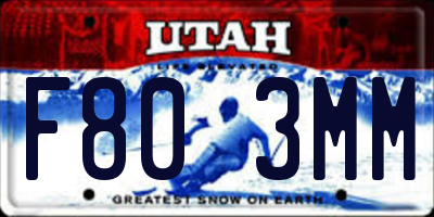 UT license plate F803MM
