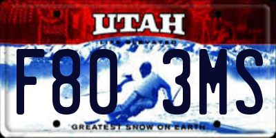 UT license plate F803MS