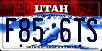 UT license plate F856TS