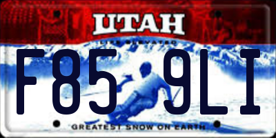 UT license plate F859LI