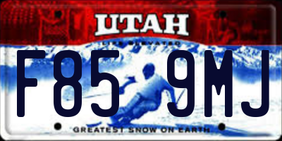 UT license plate F859MJ