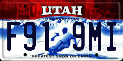 UT license plate F919MI