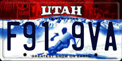 UT license plate F919VA
