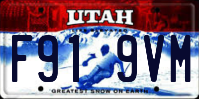 UT license plate F919VM