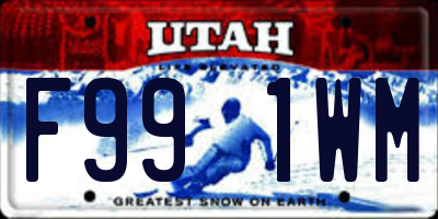 UT license plate F991WM