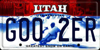 UT license plate G002ER