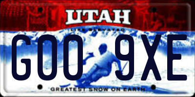 UT license plate G009XE