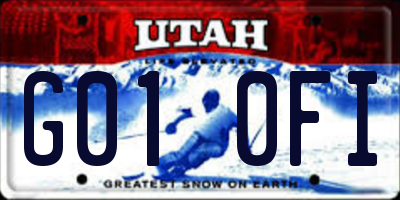 UT license plate G010FI