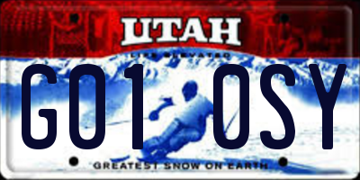UT license plate G010SY
