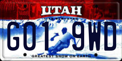 UT license plate G019WD
