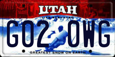 UT license plate G020WG