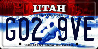 UT license plate G029VE