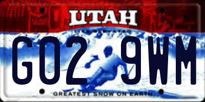 UT license plate G029WM