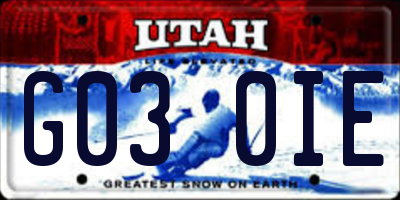 UT license plate G030IE