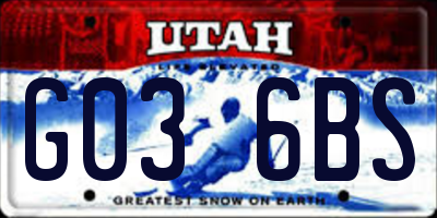 UT license plate G036BS