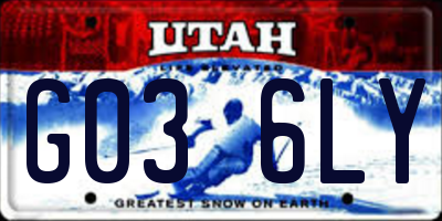UT license plate G036LY