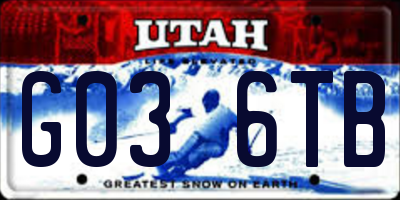 UT license plate G036TB