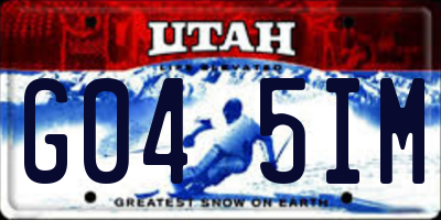 UT license plate G045IM