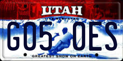 UT license plate G050ES