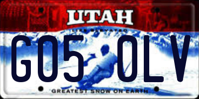 UT license plate G050LV