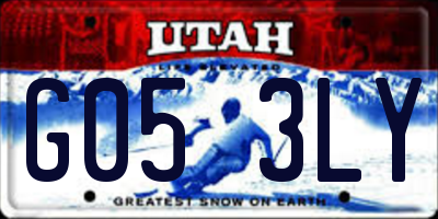 UT license plate G053LY