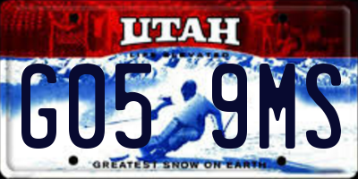 UT license plate G059MS