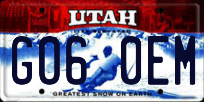 UT license plate G060EM