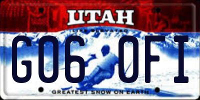 UT license plate G060FI