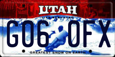 UT license plate G060FX