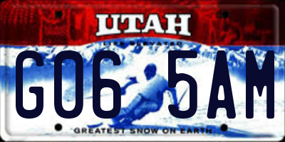 UT license plate G065AM
