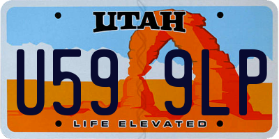 UT license plate U599LP