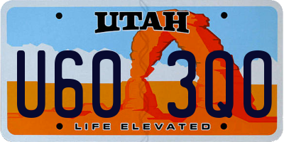 UT license plate U603QO