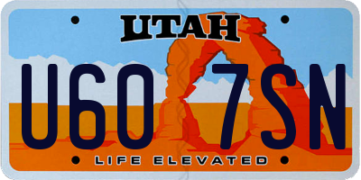 UT license plate U607SN